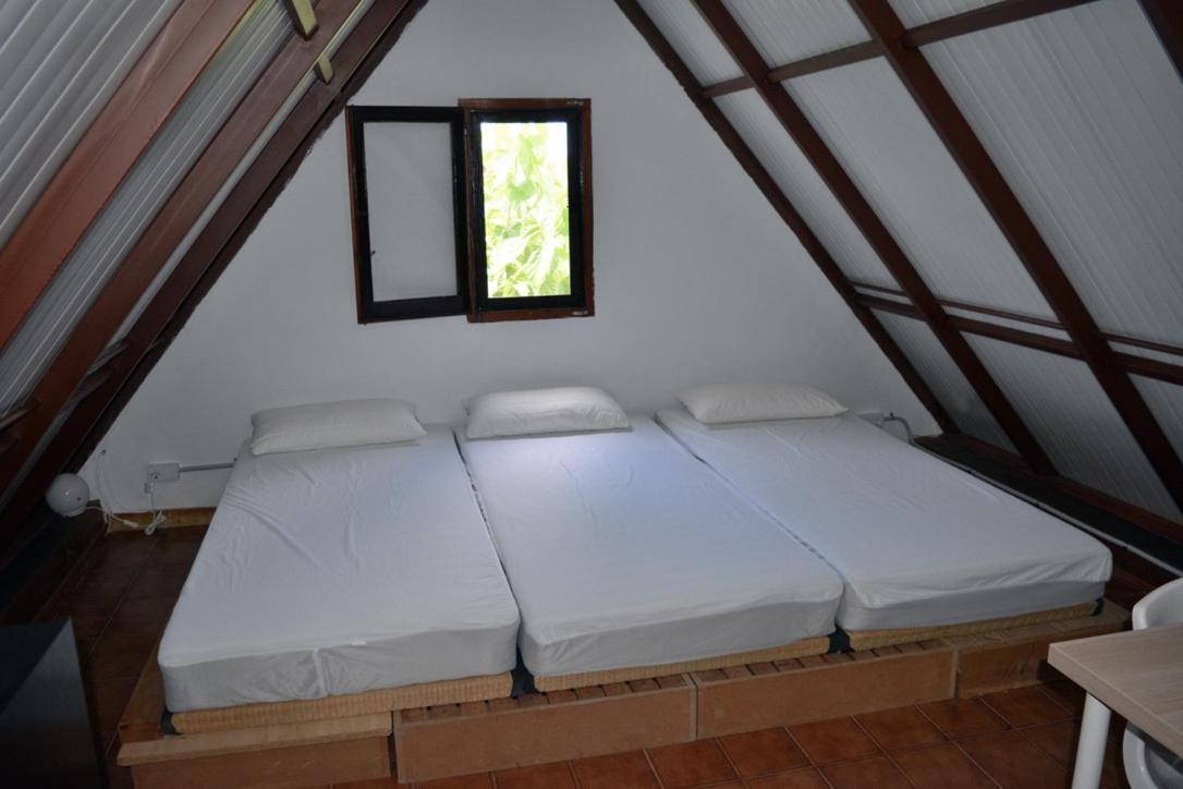 Conxita Del Delta - 2 Habitaciones Els Muntells エクステリア 写真